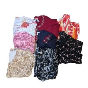 Lot Of‎ 8 Women's Size 2X Blouses And Sweaters Chico's, Charter Club, I .N.C,Etc